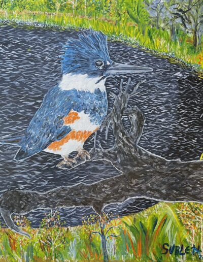 BELTED KINGFISHER AT ROY GUERRERO PARK, 20x20x1.5″ acrylic on canvas, Sold