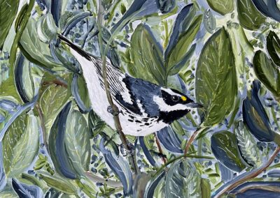 BLACK-THROATED GRAY WARBLER, 12×12 acrylic on bird panel, sold
