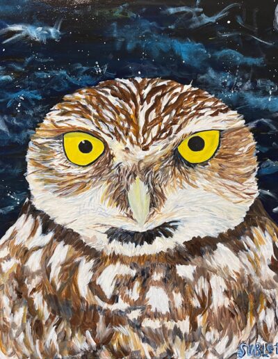 BURROWING OWL, 24x24x1.5 acylic on canvas, Sold.