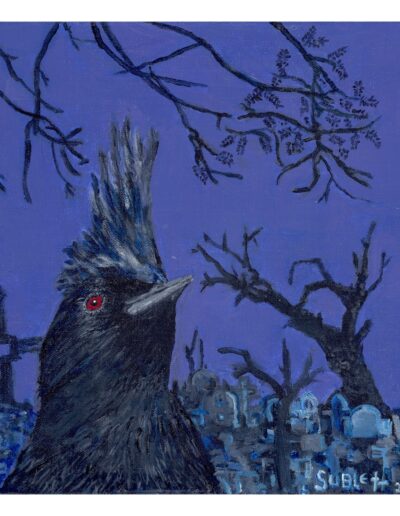 “Goth Cardinal (Phainopepla nitens)” 12x12x1.5 acrylic on canvas, sold.