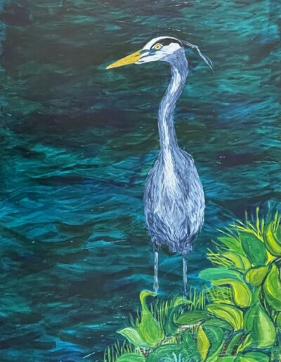 Great Blue Heron at Oracle Pond, 24x36x1.5″ acrylic on canvas Sold