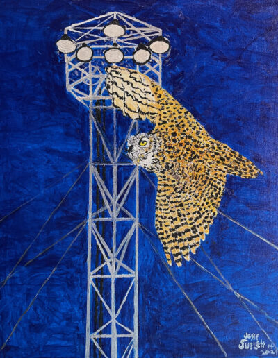 Great Horned Owl at Austin Moon Tower, Eastside Dr. 16×20 acrylic on canvas, Sold.