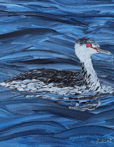 Horned Grebe @ Hornsby Bend, 12×12 acrylic on canvas, sold.