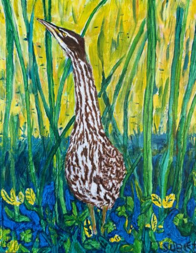 THE ELUSIVE AMERICAN BITTERN, acrylic on panel 12×12, $325