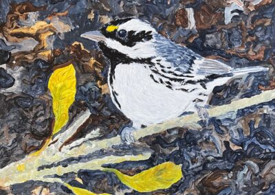 “BLACK-THROATED GRAY WARBLER NO.2” 12×12 acrylic on birch panel, $325