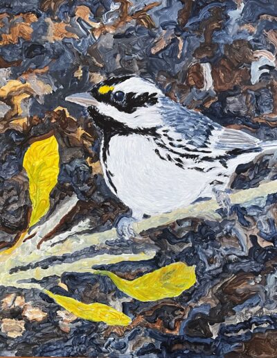 “BLACK-THROATED GRAY WARBLER NO.2” 12×12 acrylic on birch panel, $325