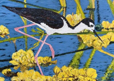 “Black-Necked Stilt,” 24x30x1.5, acrylic on canvas, $828