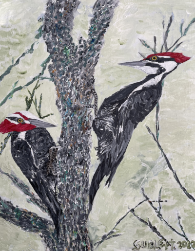 Pileated Woodpeckers, 16×20 acrylic on canvas, Sold.