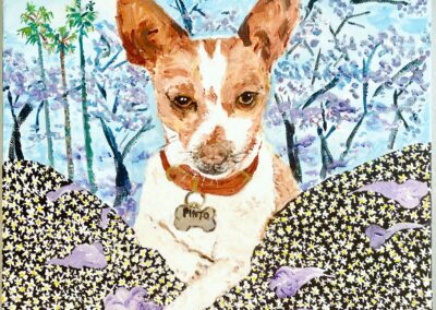 Pinto in Bloom, 12×12 acrylic on canvas, PRIVATE COMMISSION.