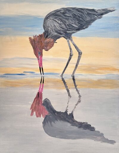 “Reddish Egret,” 24×36 acrylic on canvas, sold.