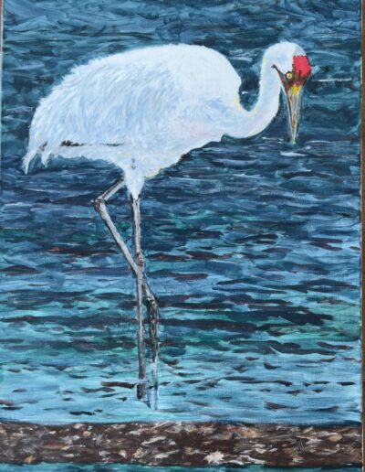 “Whooping Crane @ Goose Island,” acrylic on canvas 36×18, $575