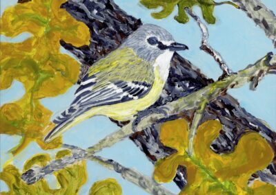 BLUE EYED VIREO, 10×10 acrylic on birch board, 300.