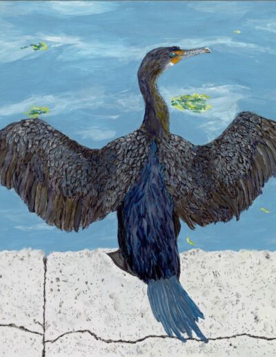 “Cormorant @ Barton Springs,” acrylic on wood, 16×20, $725