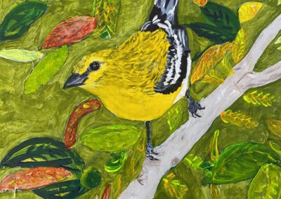 YELLOW THROATEd VIREO, 12×12 acrylic on birch panel, sold